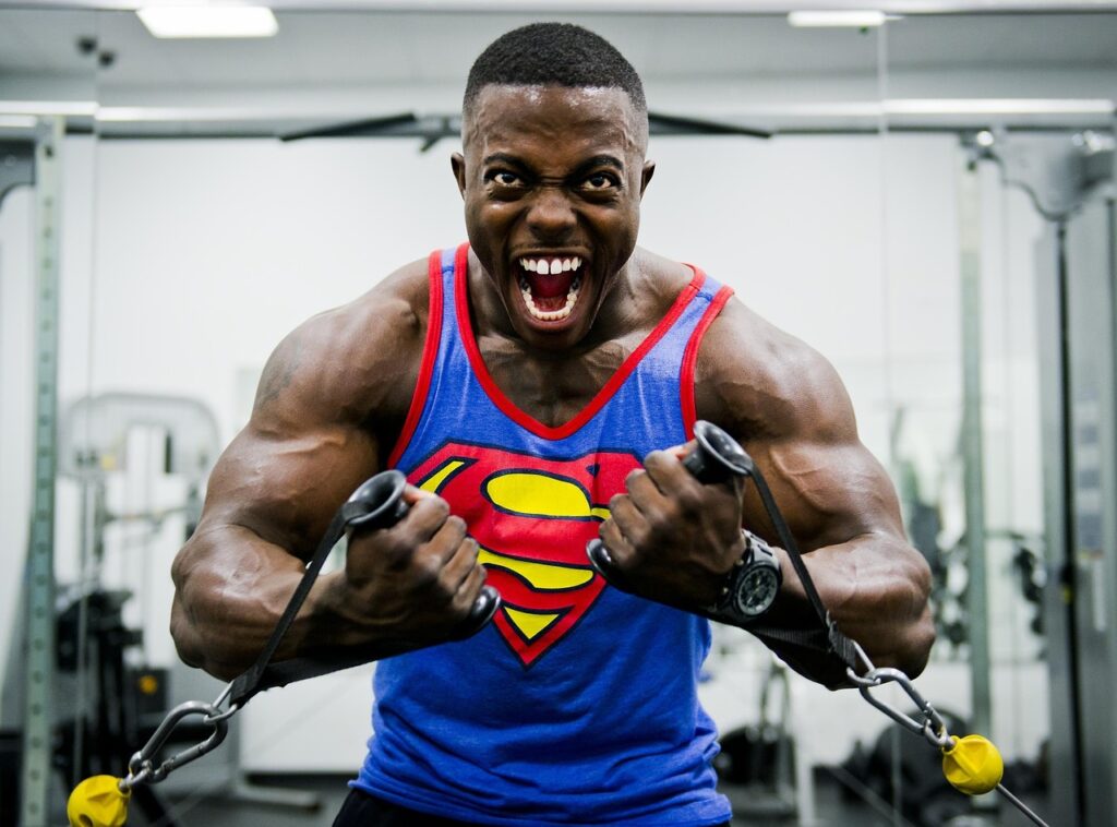 Best Gym Exercises