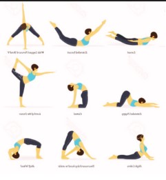 9 Back Exercises for Strength and Flexibility