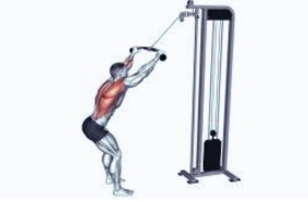 Build a Strong, Sculpted Back with Cable Back Workouts 4 Build a Strong, Sculpted Back with Cable Back Workouts