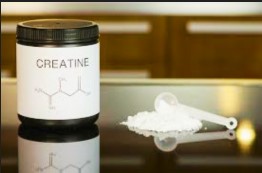 Creatine vs Protein 
