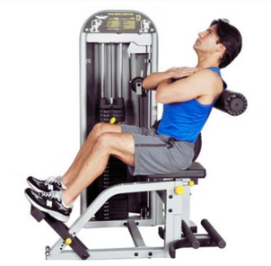 Lower Back Exercises Gym Equipment​