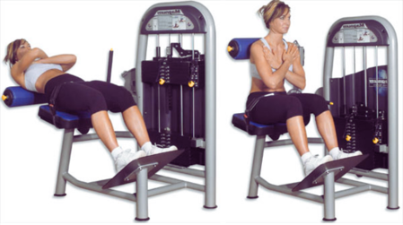 Lower Back Exercises Gym Equipment