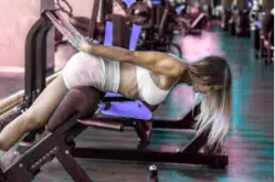 Chest and Back Workout Gym Machines