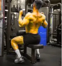 Chest and Back Workout Gym Machines