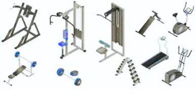 Chest and Back Workout Gym Machines
