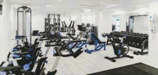 How to Use Exercise Machines at Gym Safely and Effectively
