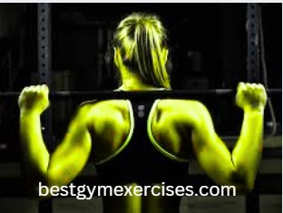 Building a Stronger Back: Your Complete Guide to Gym Machines That Actually Work 4 Building a Stronger Back: