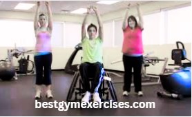 Wheelchair Exercises for Weight Loss : Complete Guide 2026 to Getting Fit 2 Wheelchair Exercises for Weight Loss